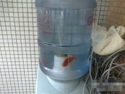 同学防舍友投毒by百家乐