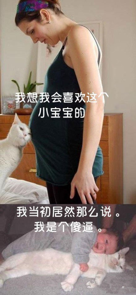 今日幽默,开心百家乐!