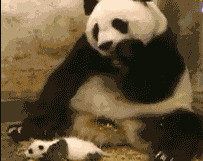 孩子尼玛要吓死俺呀!百家乐开怀
