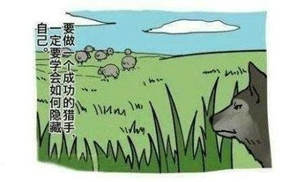 狼爱上羊啊爱的疯狂,百家乐园