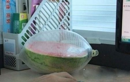 开心百家乐“西瓜的新型保鲜法”
