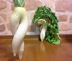 百家乐园-绿幽幽的秀发白萝卜的腿